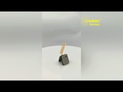 El módulo LRW32BH-C LoRa